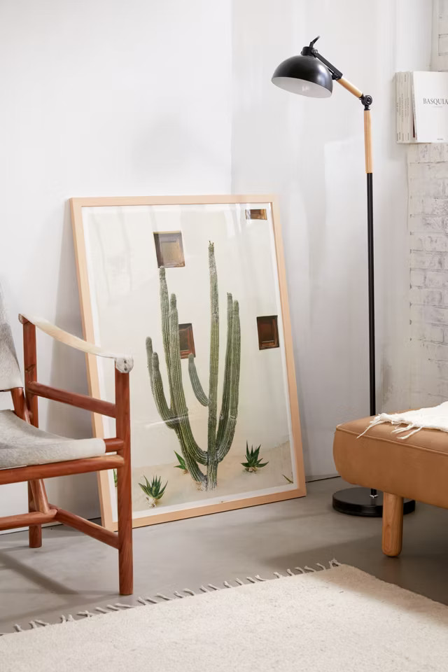 Bethany Young Photography Cabo Cactus IX Art Print | Urban Outfitters (US and RoW)