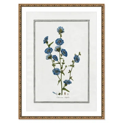 Soft Botanical I - Framed Art Full Bleed | Wayfair North America