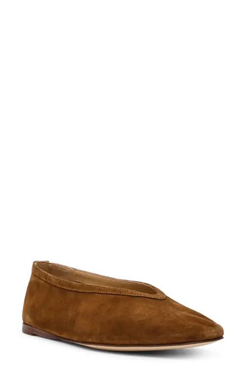 Steve Madden Leni Flat in Chestnut Suede at Nordstrom, Size 6 | Nordstrom