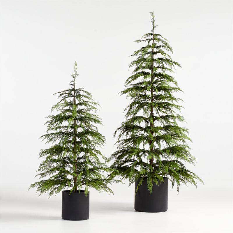 Pre-Lit Hemlock Trees | Crate and Barrel | Crate & Barrel