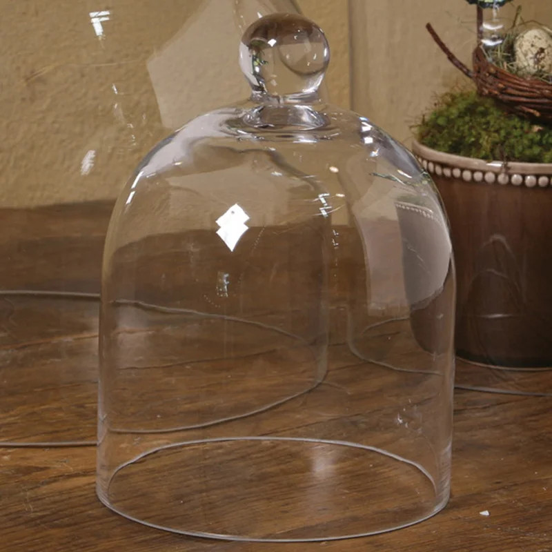 Baines Glass Dome | Wayfair North America