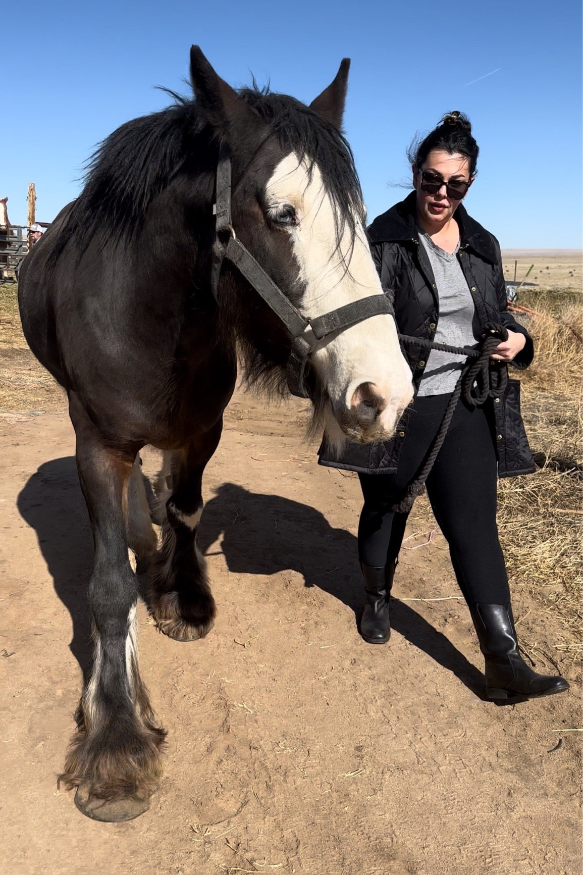 A plus size equestrian look I put together with some pieces I am really loving! I linked my exact outfit in similar colors since the colors I originally chose are sold out. If you need tips on where to find plus size equestrian clothes, follow along! I’ll be testing trying and doing a deep dive. 🤠

#LTKplussize #LTKSeasonal #LTKSpringSale