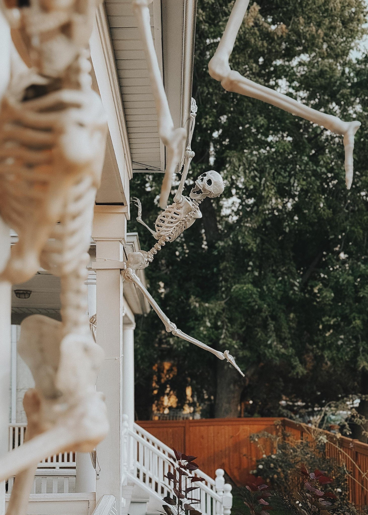 We’ve added a few of these skeletons over the last couple years for Halloweenn

#LTKSeasonal #LTKHalloween