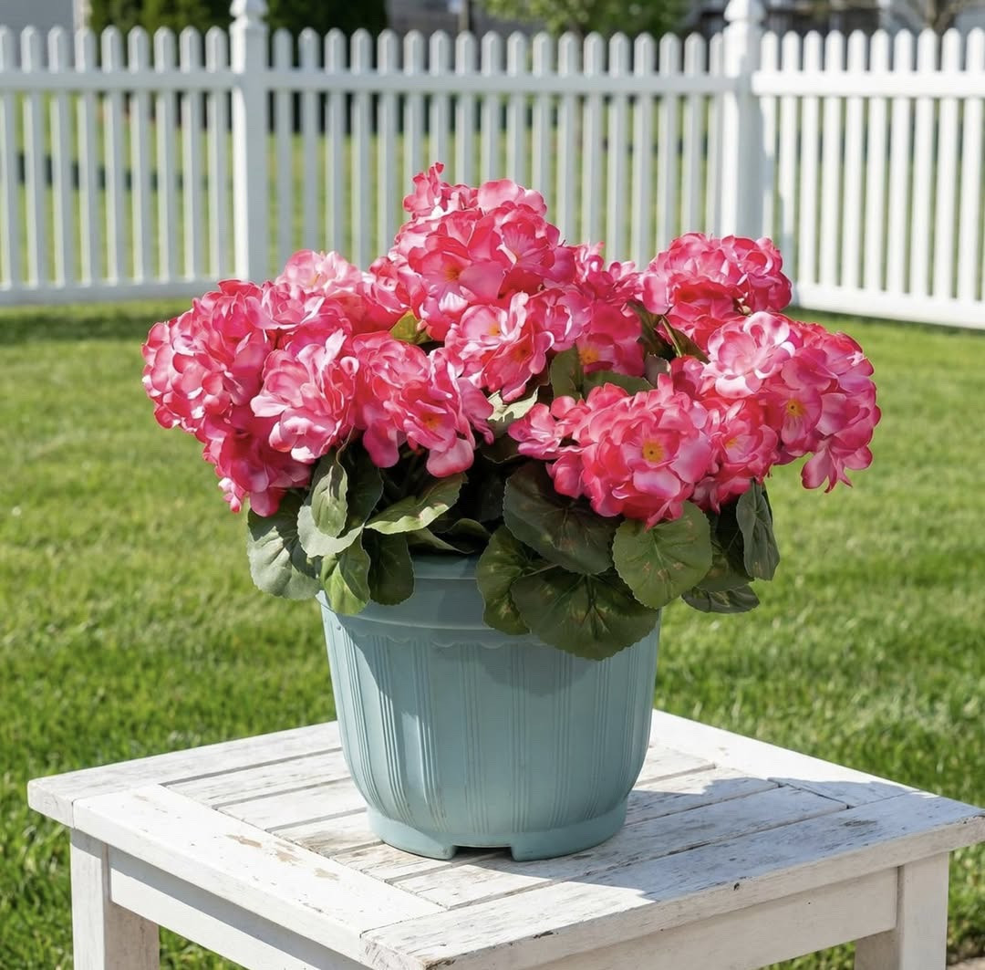 Half off faux begonias!

Artificial flower arrangements
Real touch faux flowers
Faux stems for home decor
Coffee table floral decor
Seasonal fake flower styling
Neutral faux floral arrangement
Decorative vase filler stems
Silk flowers for centerpieces
Affordable faux greenery decor

#LTKSeasonal #LTKSaleAlert #LTKHome