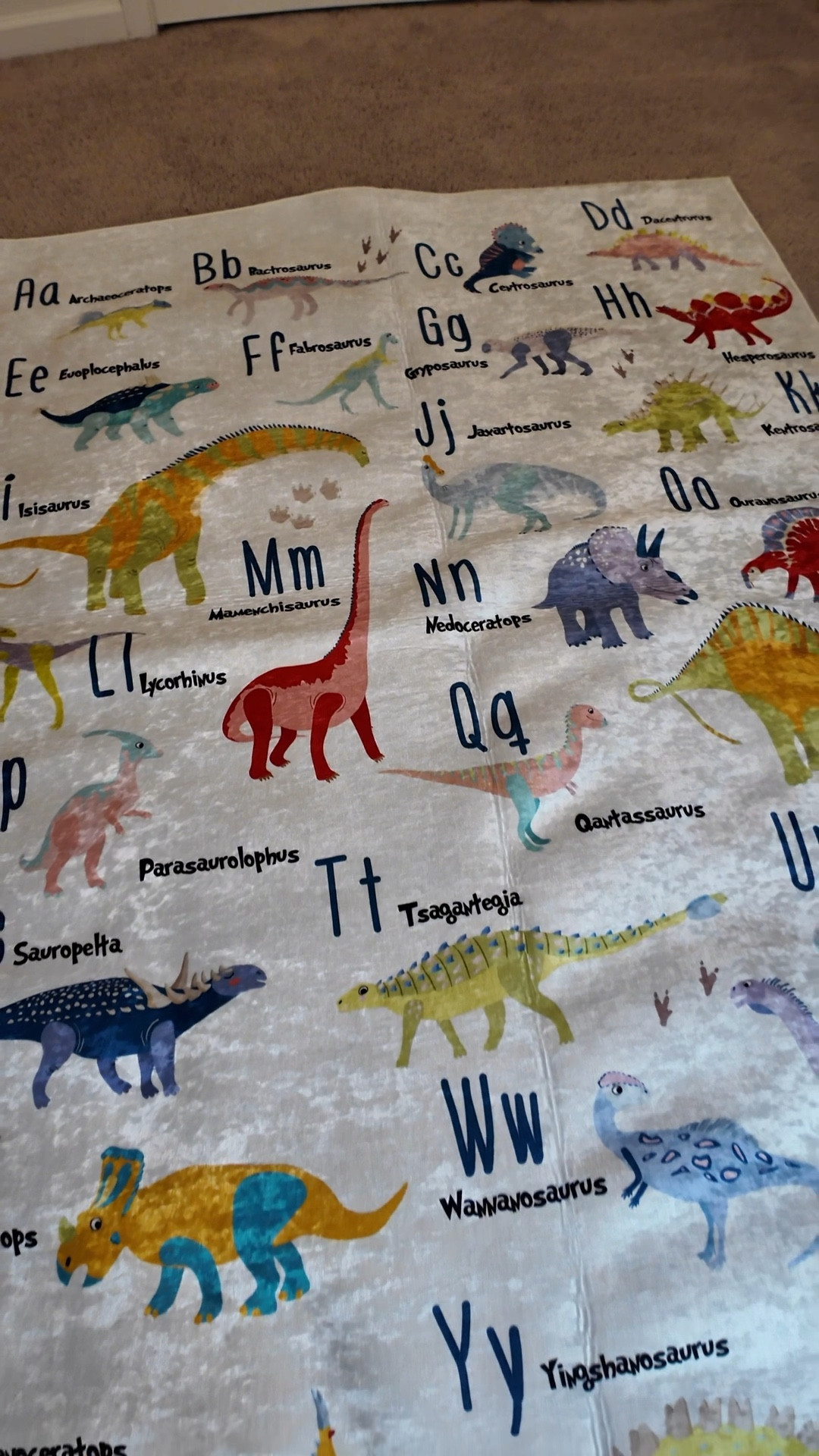 It was time to get a new rug for Saint's room, and since he love dinosaurs, this one was the perfect choice 🦕🦖 It’s also super soft so that’s a plus!

#LTKKids #LTKVideo #LTKHome