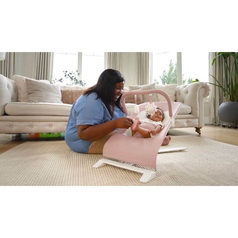 Baby Delight Alpine Deluxe Portable Baby Bouncer, for Infants 0-6 Months, Charcoal Tweed | Walmart (US)