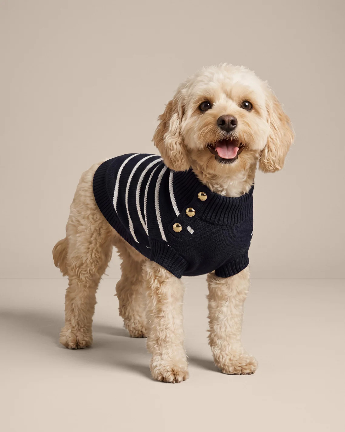 Dog Sweater in Navy Mariner Stripe | Draper James (US)