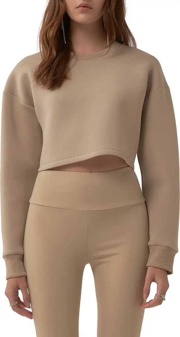 Grey Lab Lounge Wear Crop Crewneck Sweatshirt | Nordstrom | Nordstrom