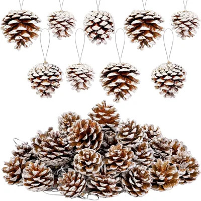 27Pcs Christmas Natural Pine Cones Bulk Rustic Snow Pinecones with String Pine Cone Pendant Winter Holiday Hanging Ornament for Xmas Tree Gift Tag Par | Wayfair North America