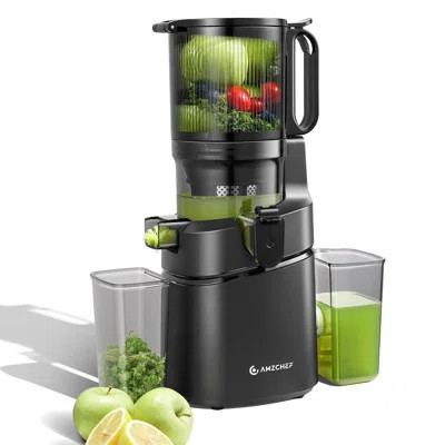 Chute Cold Press Juicer, Self-feeding Slow Masticating Juicer For Whole Fruits & Vegetables, 250w High Yield Extractor, Easy Clean, Grey | Wayfair North America