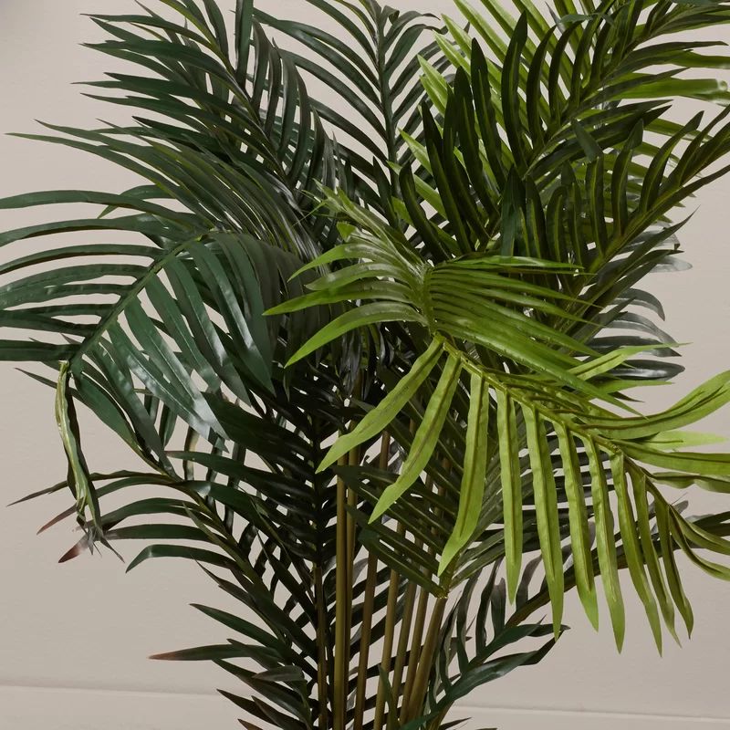 Grover 60" Artificial Palm Plant | Wayfair North America