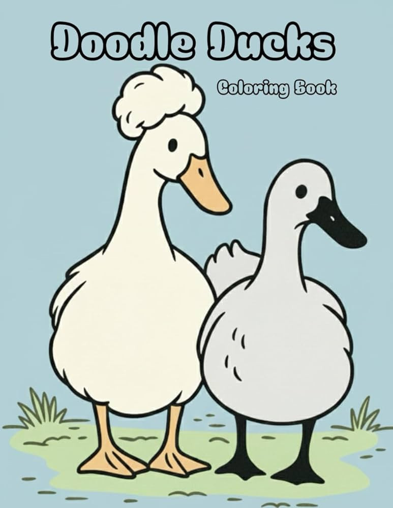 Doodle Ducks | Amazon (US)