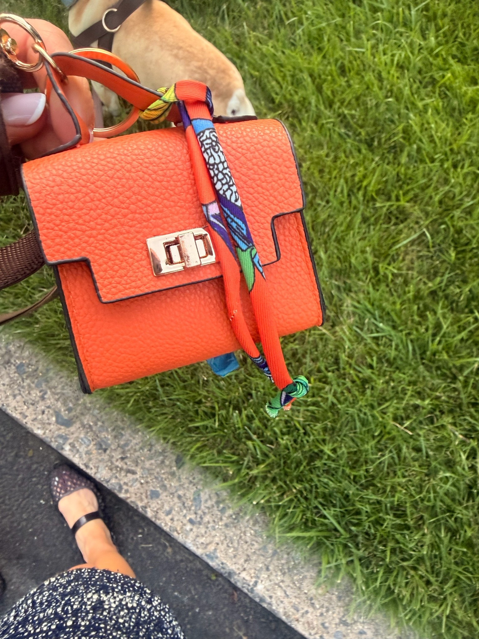 How cute is this? Our walks have become much chicer with this dog waste bag💅

#LTKSeasonal
