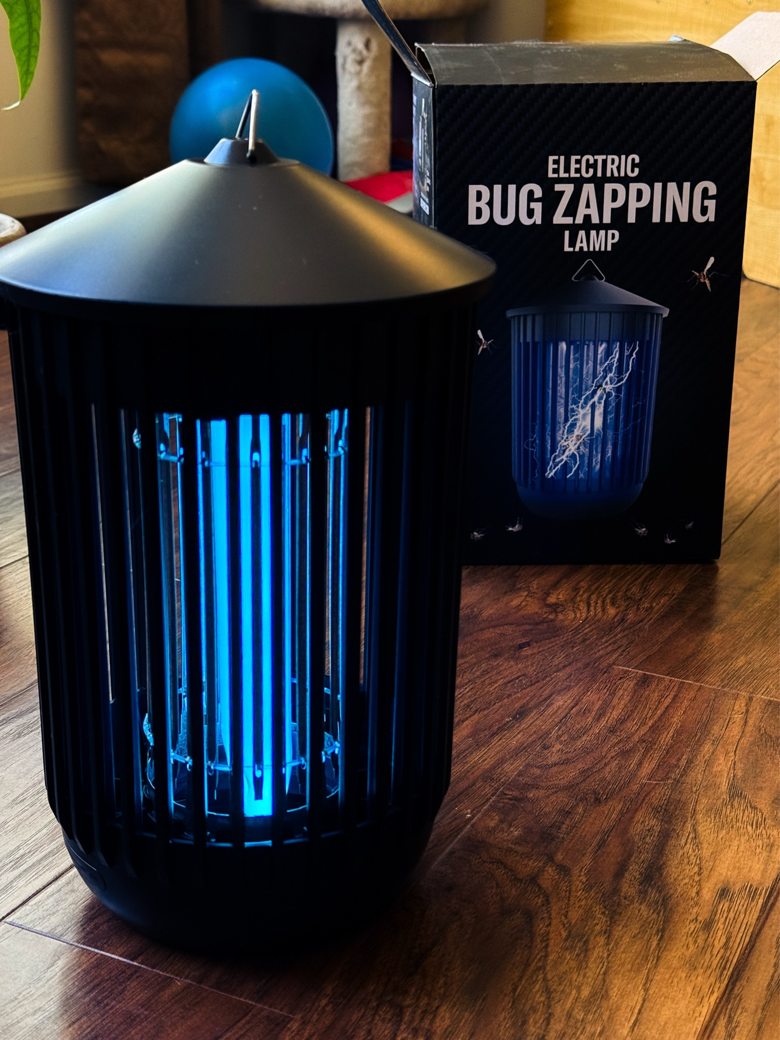 #LTKHome #LTKSeasonal #LTKSaleAlert