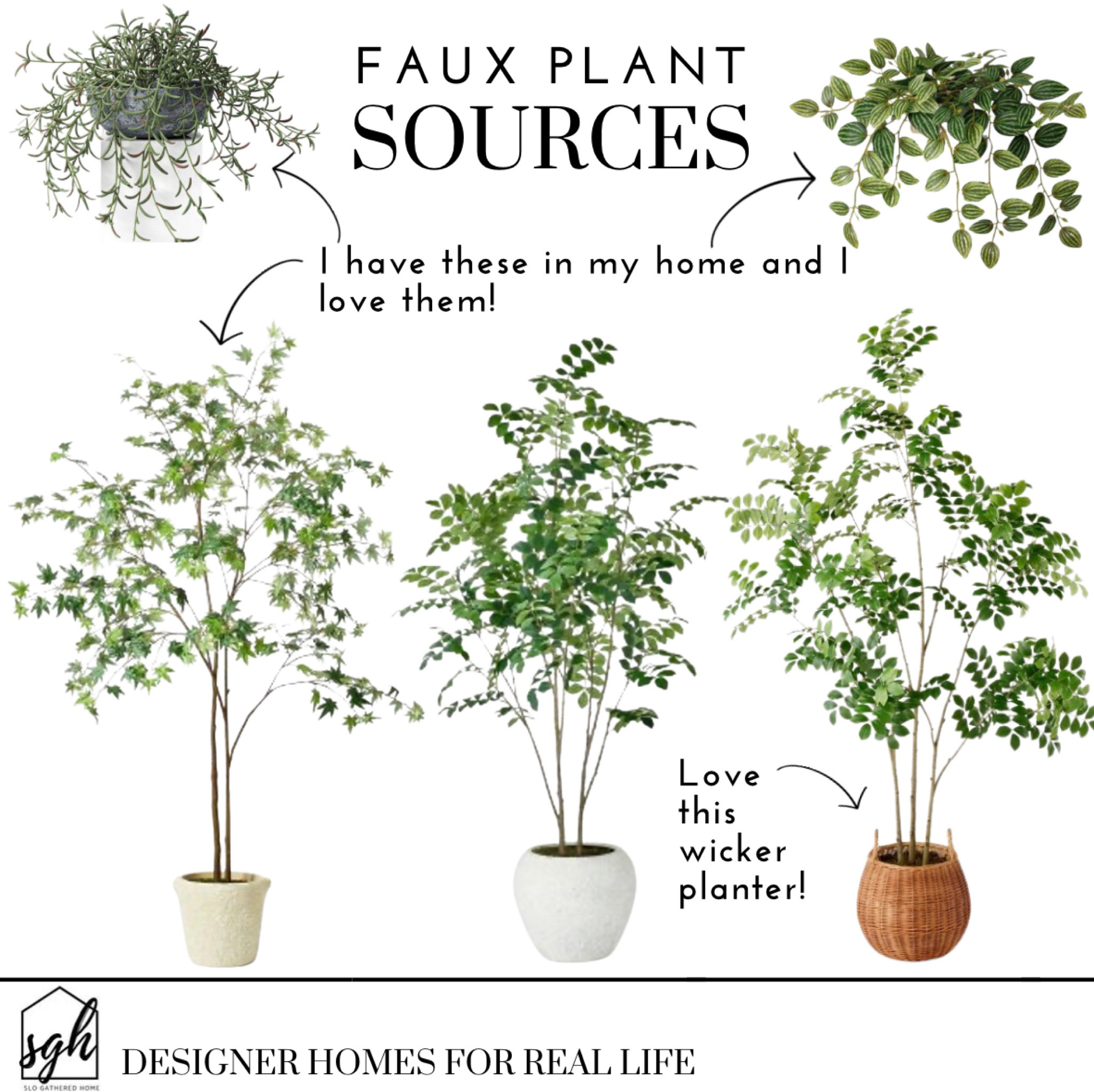 My favorite faux plants on sale! 

#LTKhome #LTKSeasonal #LTKsalealert