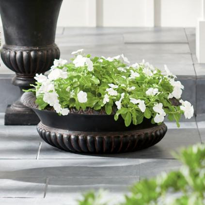 Lucas Bowl Planter | Grandin Road