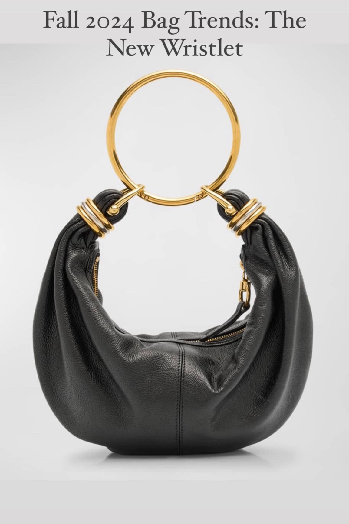 Fall 2024 Handbag Trends: The New Wristlet
Affordable Wrist Bags
Fall Trends 

#LTKStyleTip #LTKSeasonal #LTKItBag