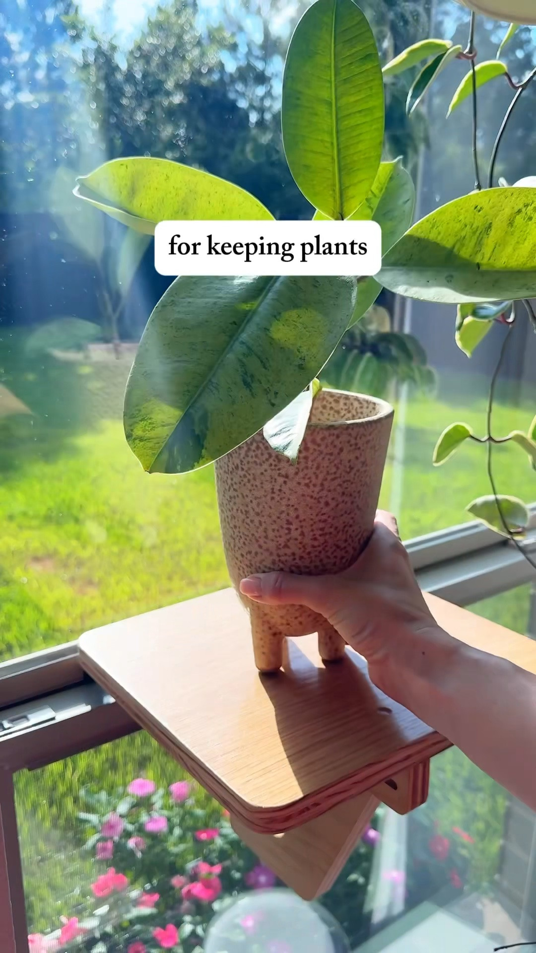 One of my favorite little plant finds lately. 🌿

I love that this shelf can sit right in the middle of the window instead of only at the bottom. It’s been a great spot for a few plants that need bright light, and it keeps them away from curious pets and little hands.

Comment HACK for the link. 👇

window shelf | plant shelf | indoor plants | houseplants | plant lover | plant parent | indoor gardening | plant decor

#Houseplants #IndoorPlants #PlantShelf #PlantParent #PlantLover PlantCare IndoorGarden PlantDecor

#LTKHome #LTKOver40 #LTKdayinmylife