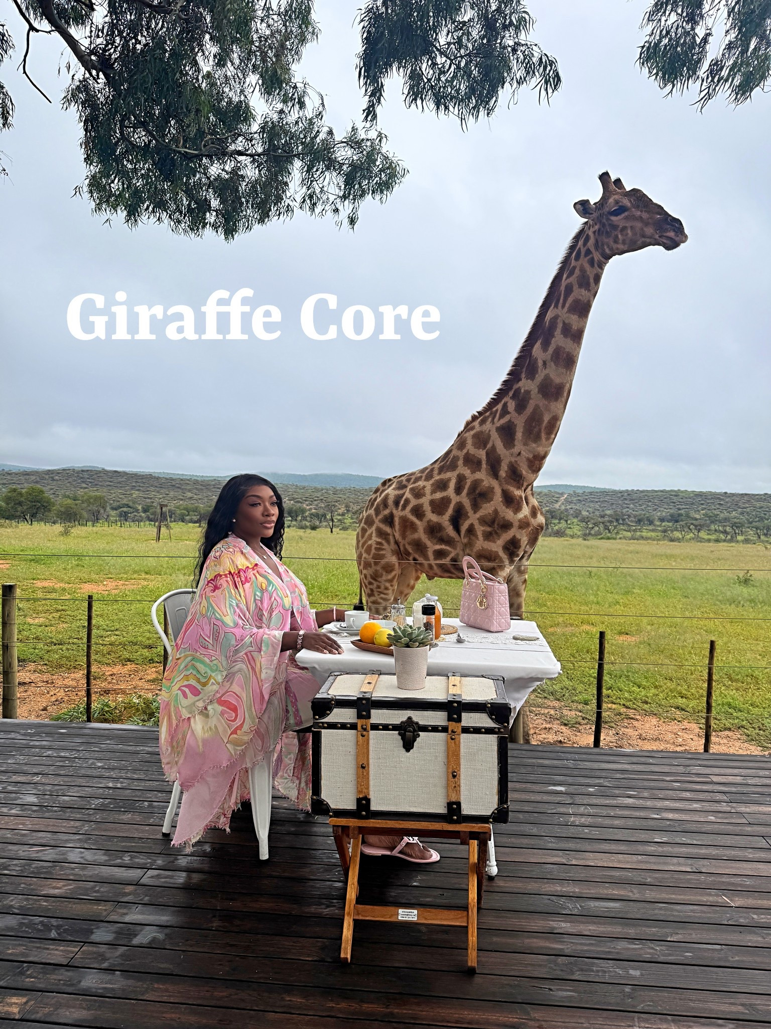 Pretty in pink feeding Gustav the Giraffe 

#LTKPets #LTKStyleTip #LTKTravel