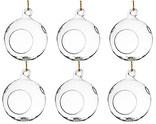 Set of 6 Hanging Glass Globe Plant Terrariums - Glass Orbs Air Plants Tea Light Candle Holders Succu | Amazon (US)