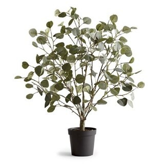 Eucalyptus Leaf Potted Plant | Frontgate | Frontgate