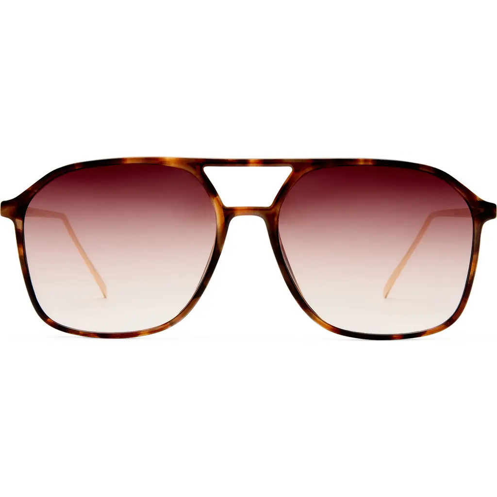 AIRE Cusp 55mm Aviator Sunglasses in Dark Tort /Gold /Dark Brown at Nordstrom | Nordstrom