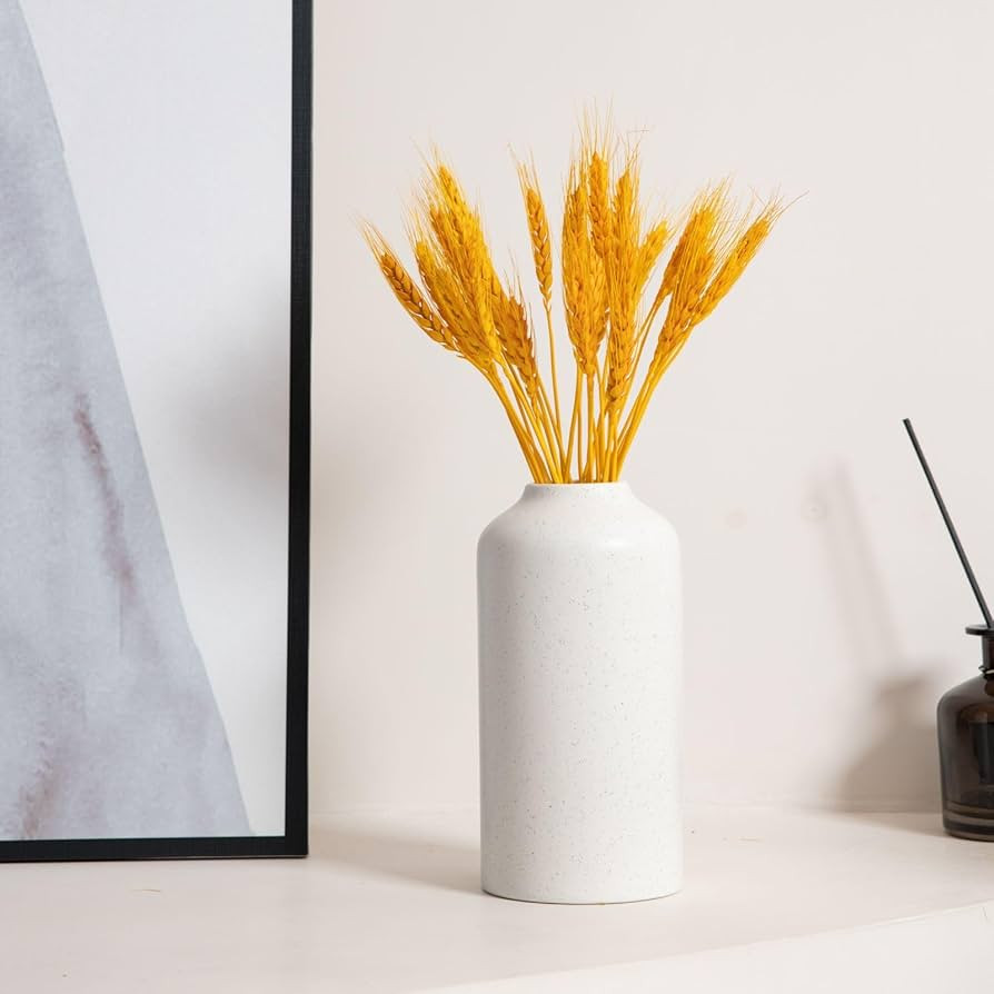 Amazon.com: ShaKaLa 8 Inch White Ceramic Vases, Decorative Flowers Vase for Living Room, Modern B... | Amazon (US)