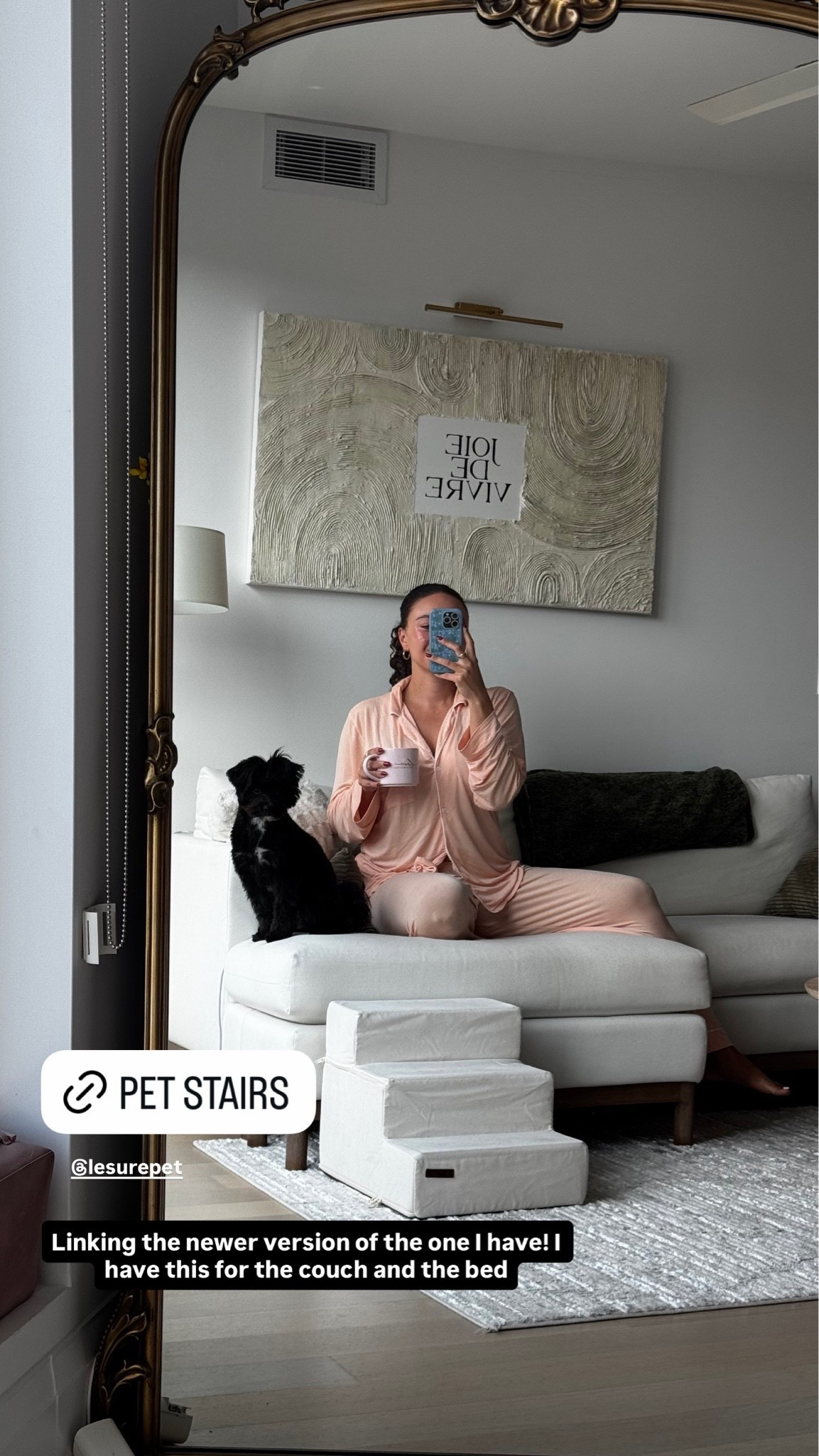 The pet stairs I have for my dogs! This lets them come up and down from the couch and the bed easily and minimize jumping

#LTKHome
