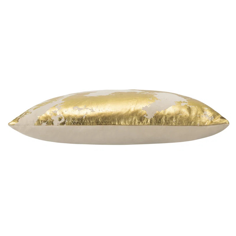 Zara Velvet Throw Pillow | Wayfair North America