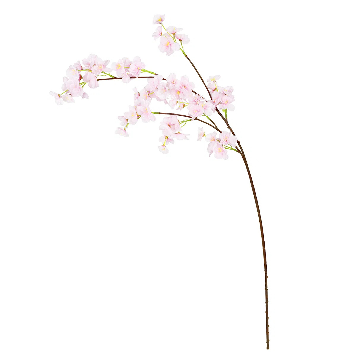 Cherry Blossom Arrangement (Set of 6) | Wayfair North America