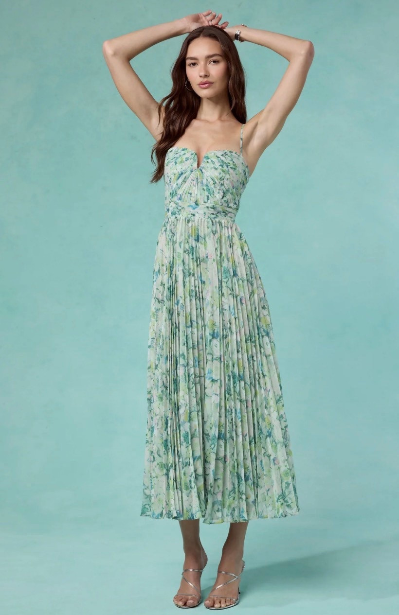 Astr the Label Bayley Floral Pleated Maxi Dress, spring, summer, date night, wedding guest,  Easter, brunch

#LTKSeasonal #LTKWedding