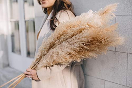 Amazon.com: Emir&Odin 40" inch 10 Stems Natural Dried Pampas Grass – Tall, Large and Fluffy, No... | Amazon (US)