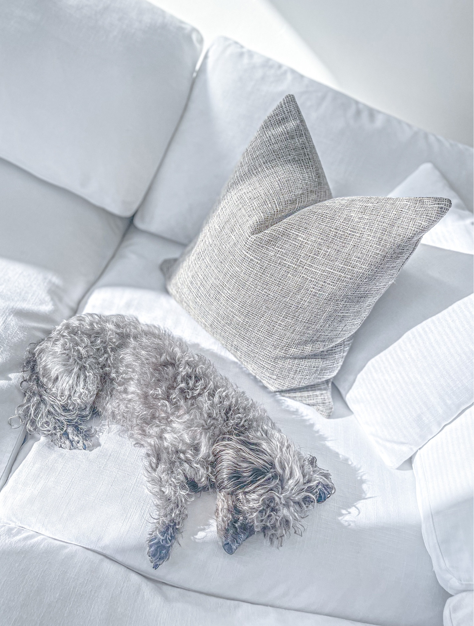 RH Cloud Couch dupe! I’ve looked forever for a dupe of the RH Cloud Couch and finally found one that was almost identical. It’s beautiful and I have never regretted my purchase! This pillow cover is from Hackner Home! They have the best quality pillow covers out there! 

#LTKunder100 #LTKhome #LTKFind