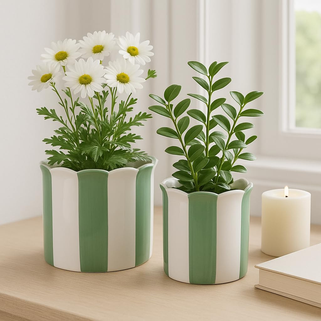 Ceramic Planter Pots – Planters for Everyday Greenery, Indoor Planters for Shelf or Patio, Stri... | Amazon (US)