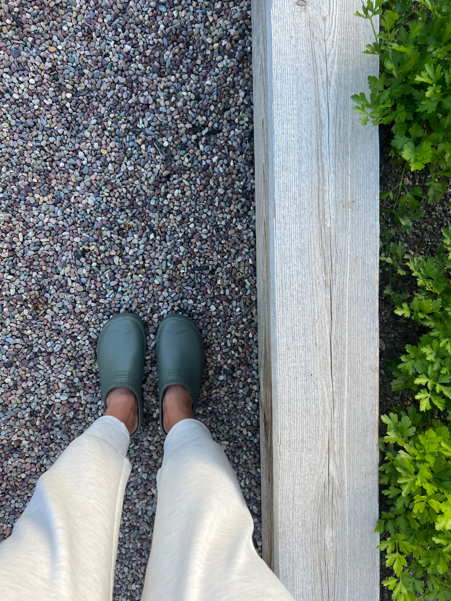 Favorite time of night hearing the crunch of the pea gravel in my favorite gardening clogs. 🪴 