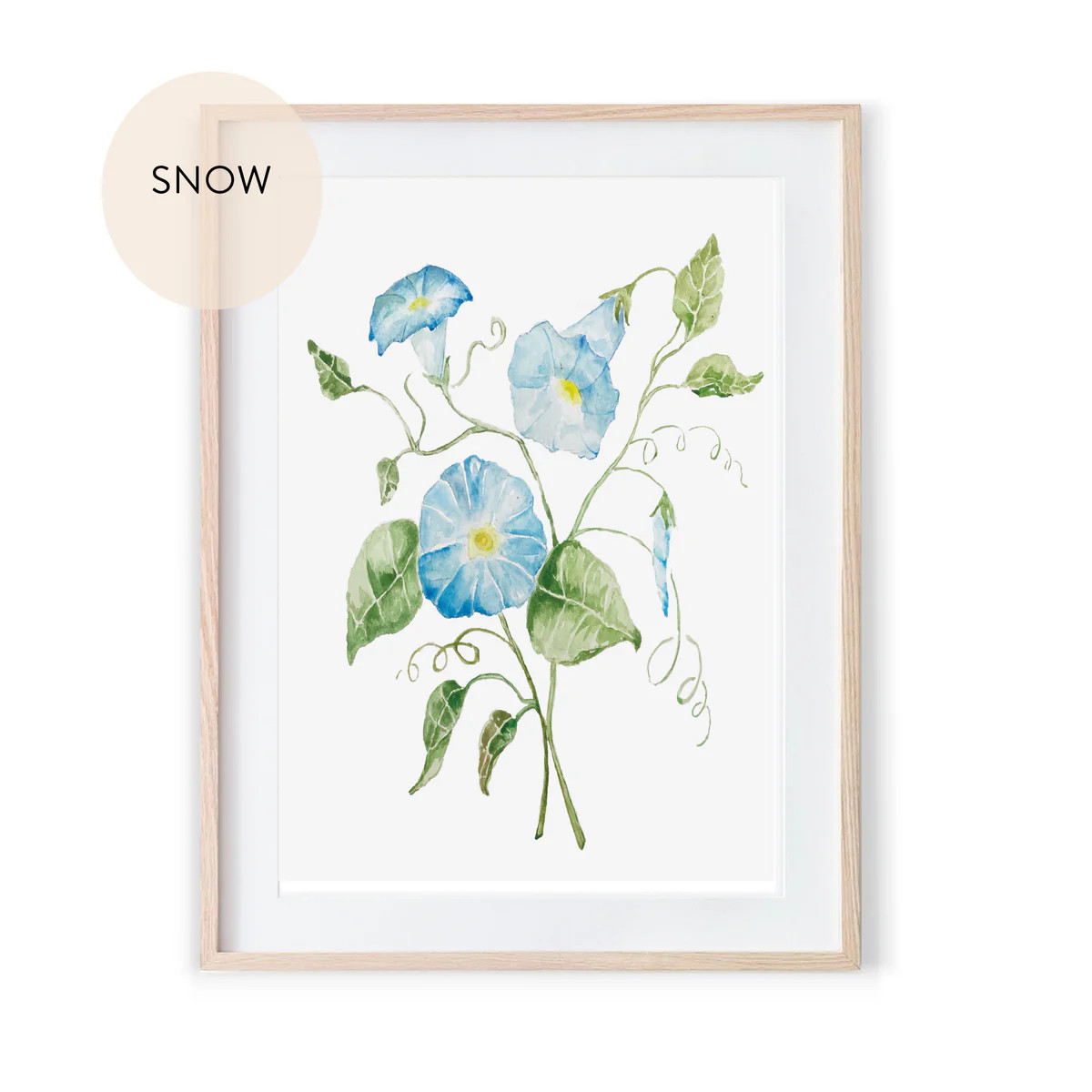 Watercolor Morning Glory Botanical Wall art Print | Sweet Pea and Whimsy