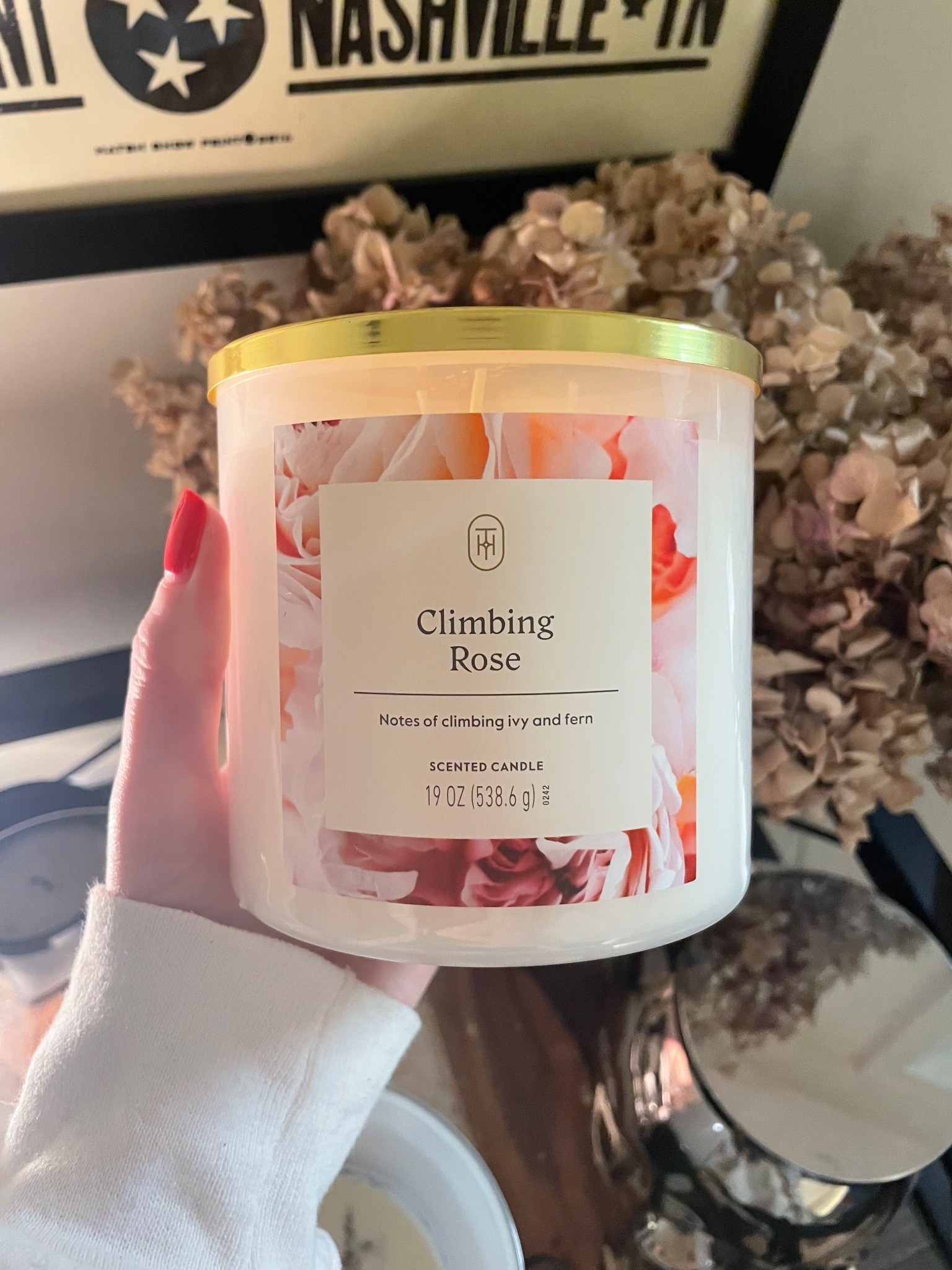 This climbing rose candle smells very similar to diptyque baies!

Target finds 

#LTKHome #LTKSeasonal #LTKFindsUnder50