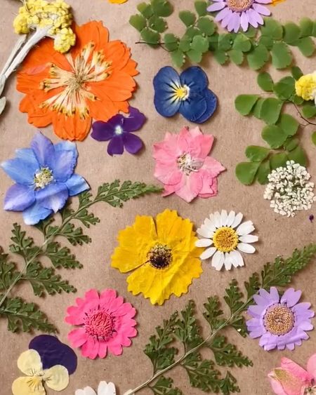 Pressed Flower Suncatchers 🌻 These are so easy to put together with the loveliest results! All you need are flowers, contact paper, and an embroidery hoop.

#LTKVideo #LTKhome