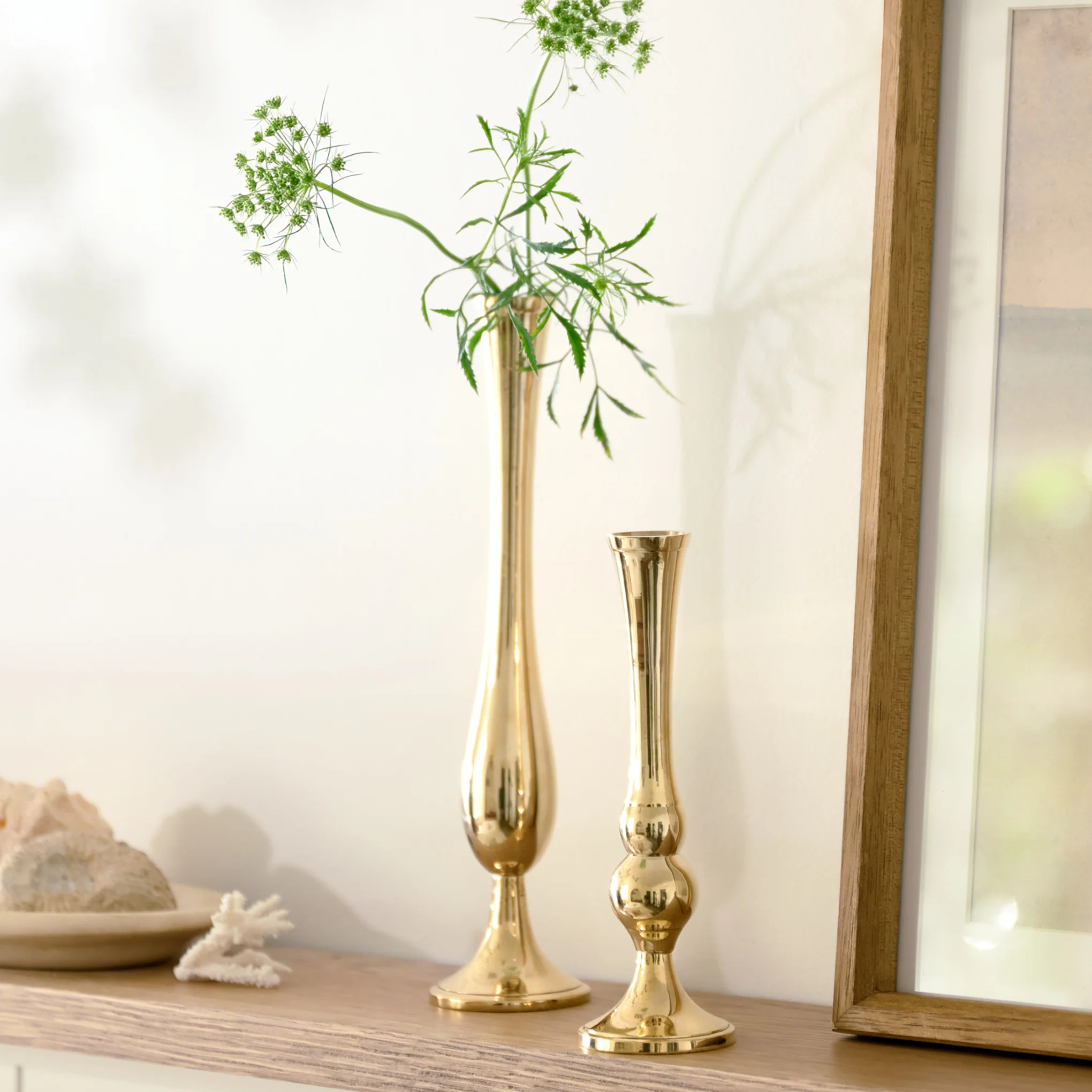 Embry Solid Brass Bud Vase | Magnolia