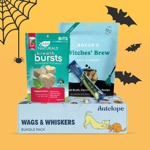 Bocce's Bakery Trick or Treats Halloween Dog Box | Chewy.com