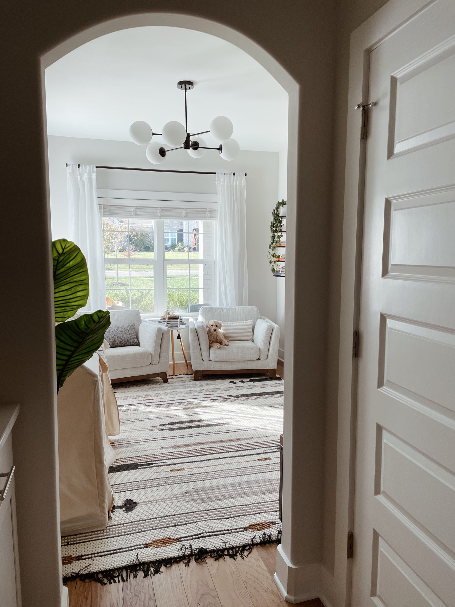 Where’s Finn 🐶? 

home decor, home design, interior design, rug, sitting room, ceiling light, bookshelf 

#LTKhome