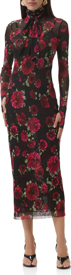 Bryony Long Sleeve Polka Dot Mesh Dress | Nordstrom