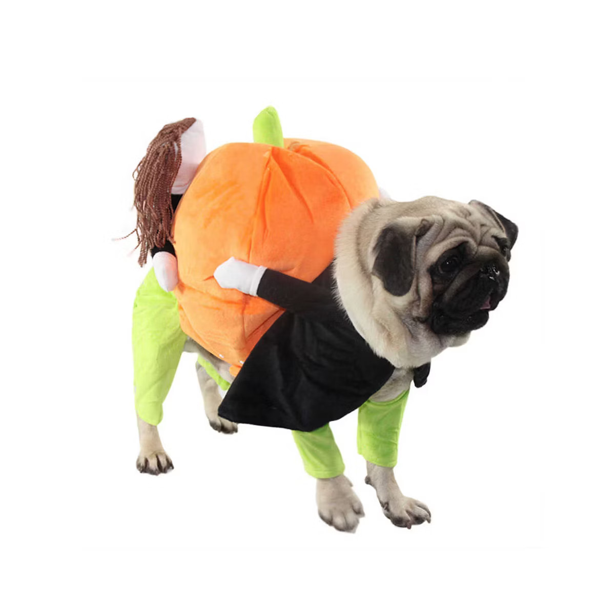 Pet Life 'Pumpkin Mon' Dog Pumkin Carrying Halloween Dog Costume, LG | Target