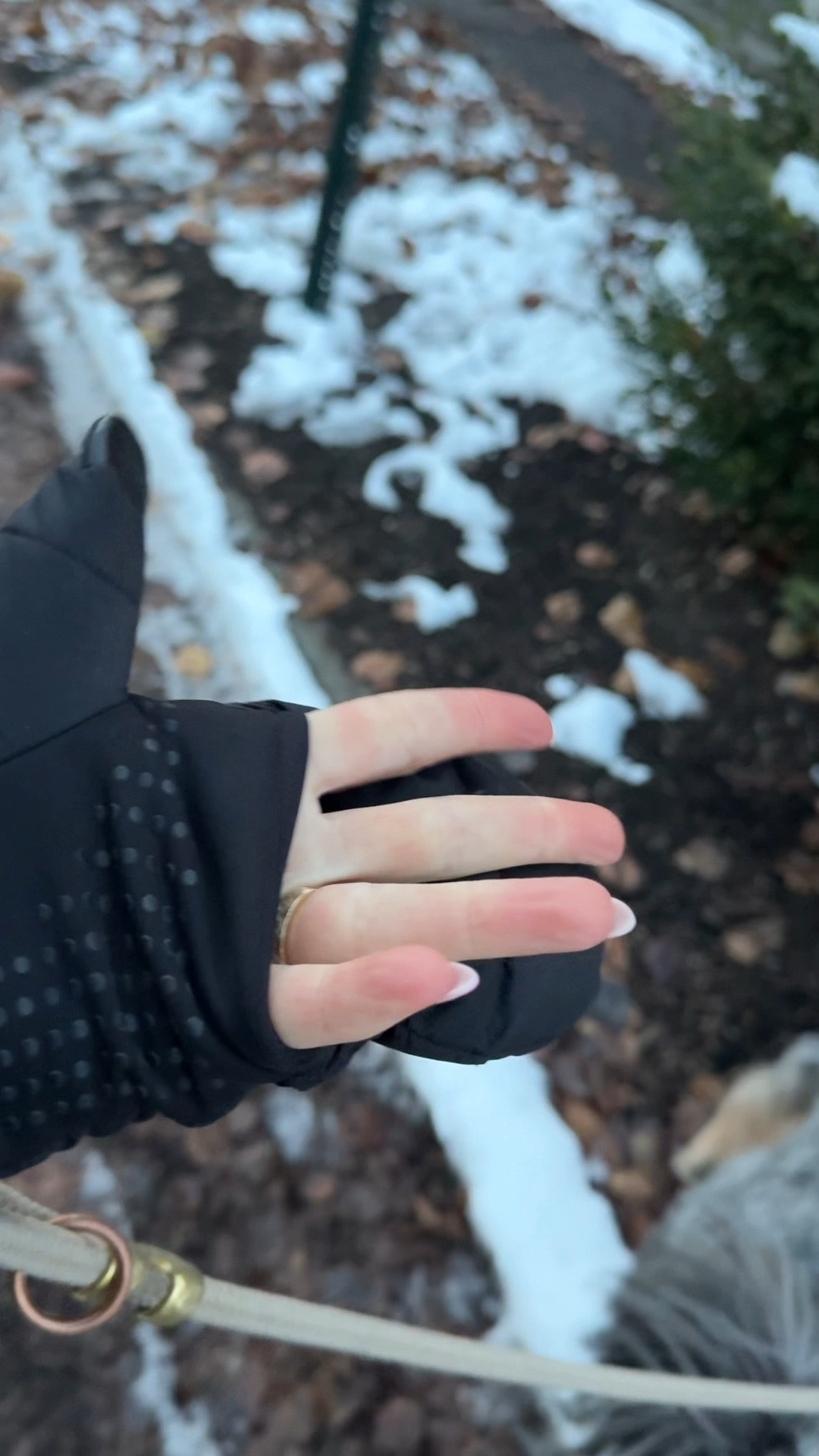 Best gloves I’ve ever owned. So good for dog walks!!! 

#LTKHoliday #LTKootd #LTKSeasonal