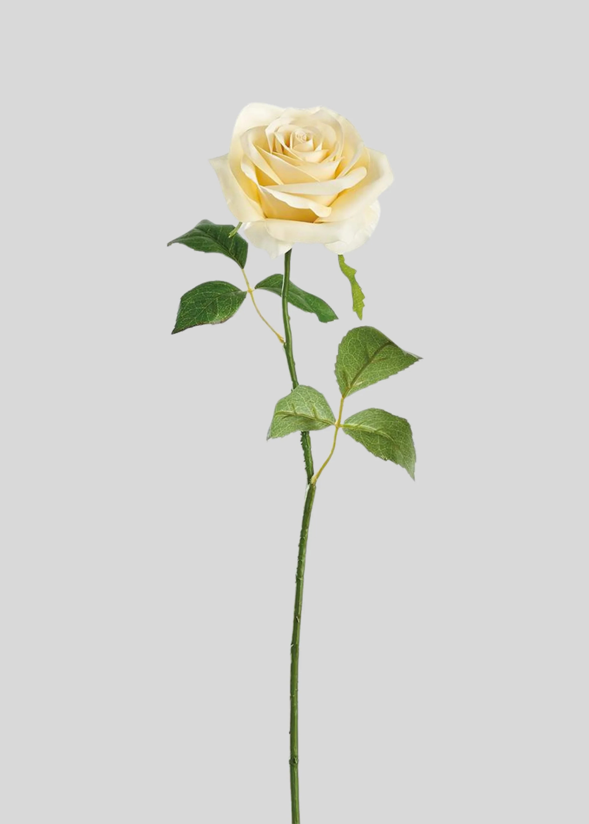 Real Touch Rose Artificial Flower in Buttercream Yellow - 21.5" | Afloral