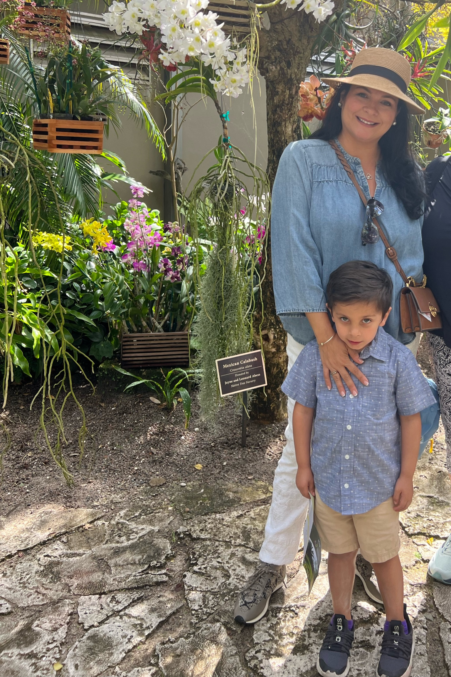 Orchid garden, garden walk, 

#LTKSpringSale #LTKSeasonal