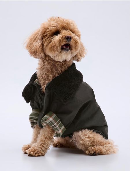 How cute is this dog jacket? It’s on sale for 40% off right now! 

#LTKstyletip #LTKHolidaySale