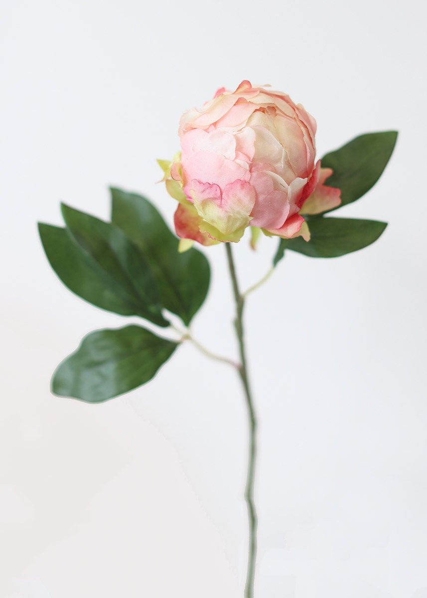 Artificial Flower Peony Bud in Pink - 18" Tall | Afloral (US)