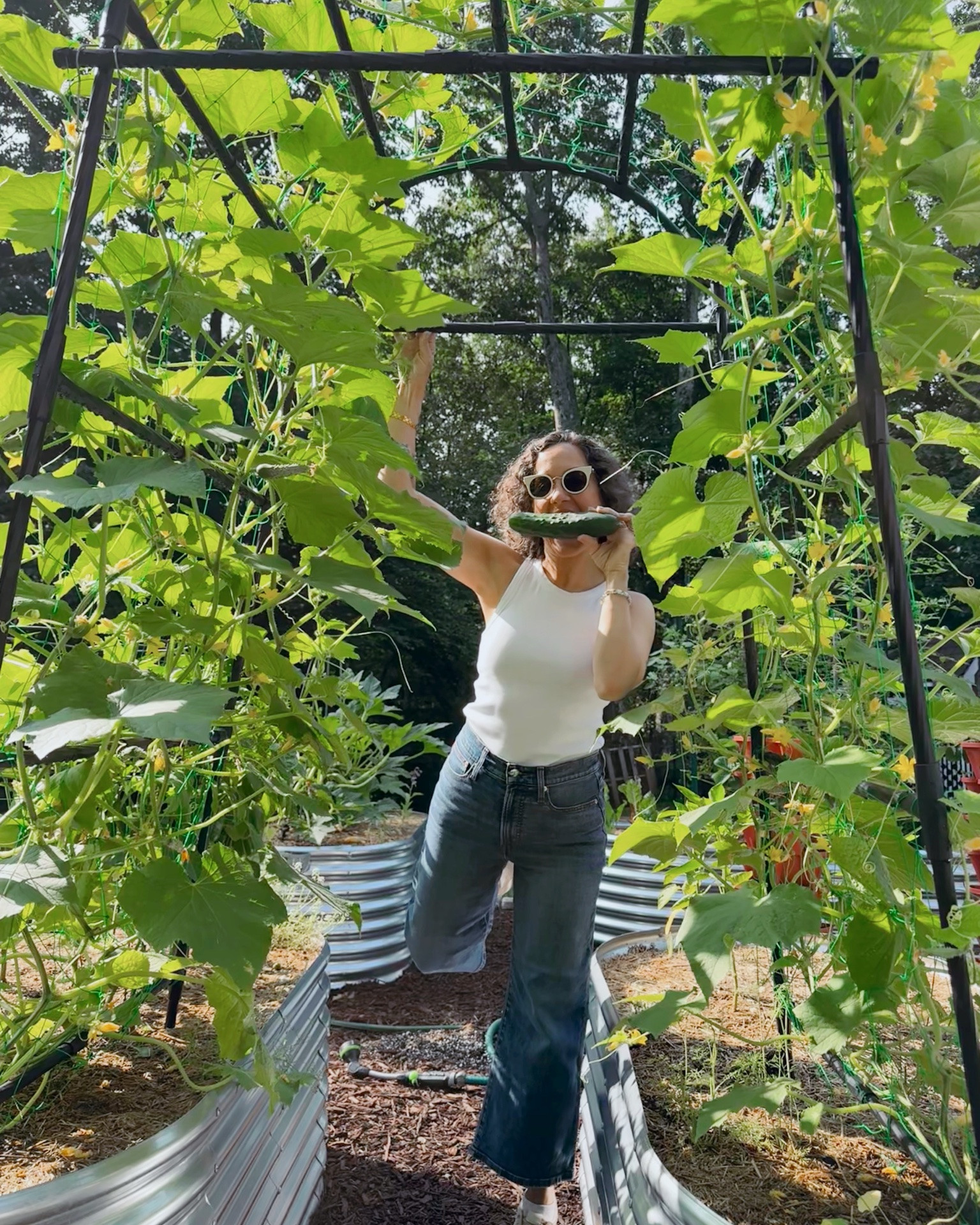 Simple summer outfit this morning in my garden, Madewell jeans, Nordstrom white tank, Blondo waterproof sneakers. Thrifted Max Mara sunglasses.

#LTKmomlife #LTKOver40 #LTKSeasonal