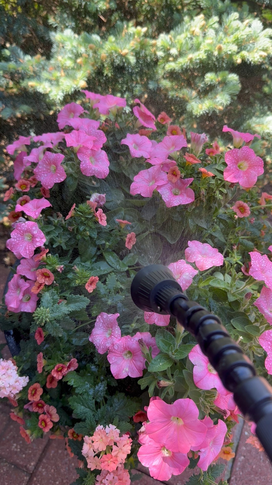 Electric watering can! Gardening gifts a green thumb- patio, flower bed, ferns in urns, flower box. Spring flowers 

#LTKOver40 #LTKFindsUnder50 #LTKSeasonal